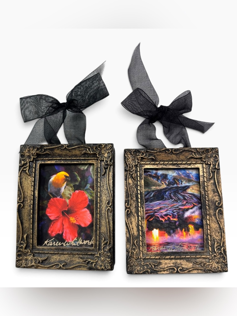 Karen Whitworth Signed Hawaiian Miniature Framed Art Prints Palila Kilauea Pair